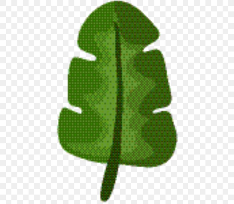 Family Tree Background, PNG, 442x713px, Green, Leaf, Pine, Pine Family, Plant Download Free