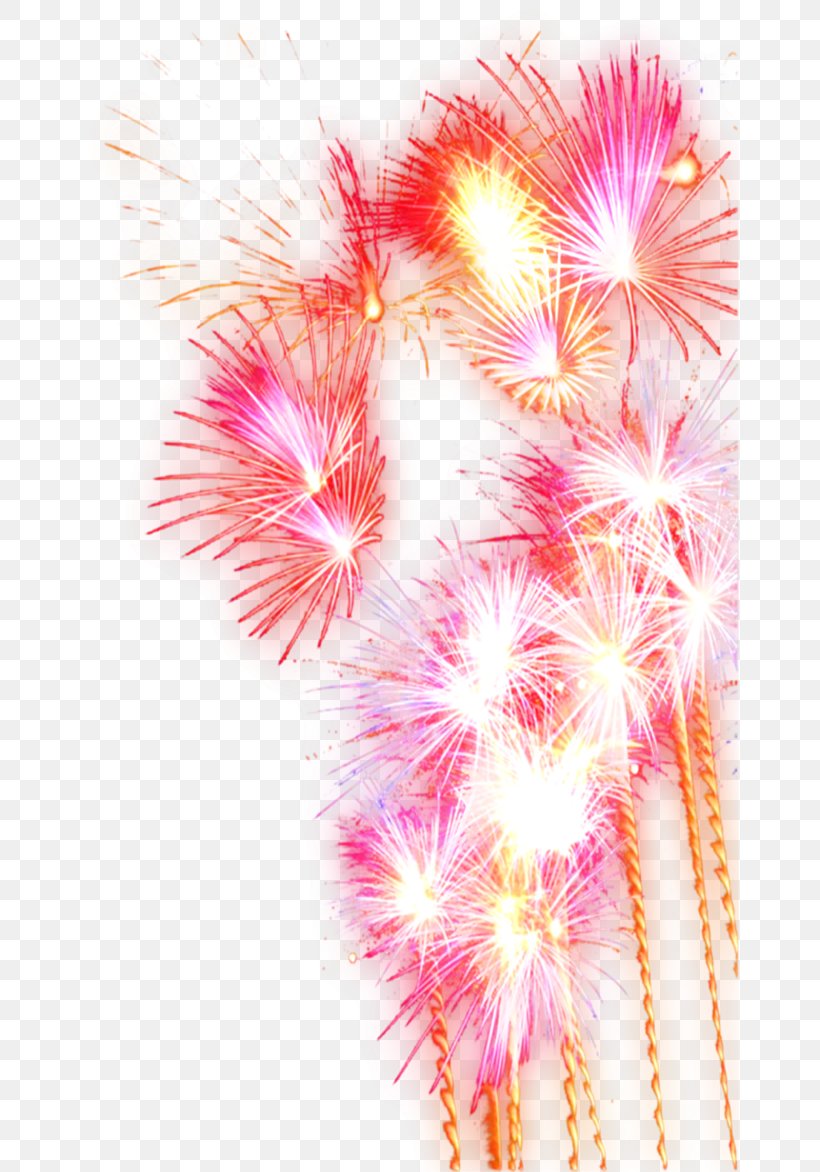 Fireworks Festival Pyrotechnics, PNG, 659x1172px, Fireworks, Close Up, Event, Festival, Flower Download Free