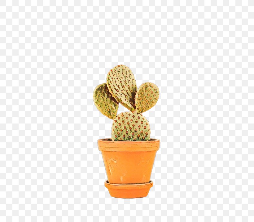 Flowerpot, PNG, 500x719px, Flowerpot, Cactus, Caryophyllales, Flower, Houseplant Download Free