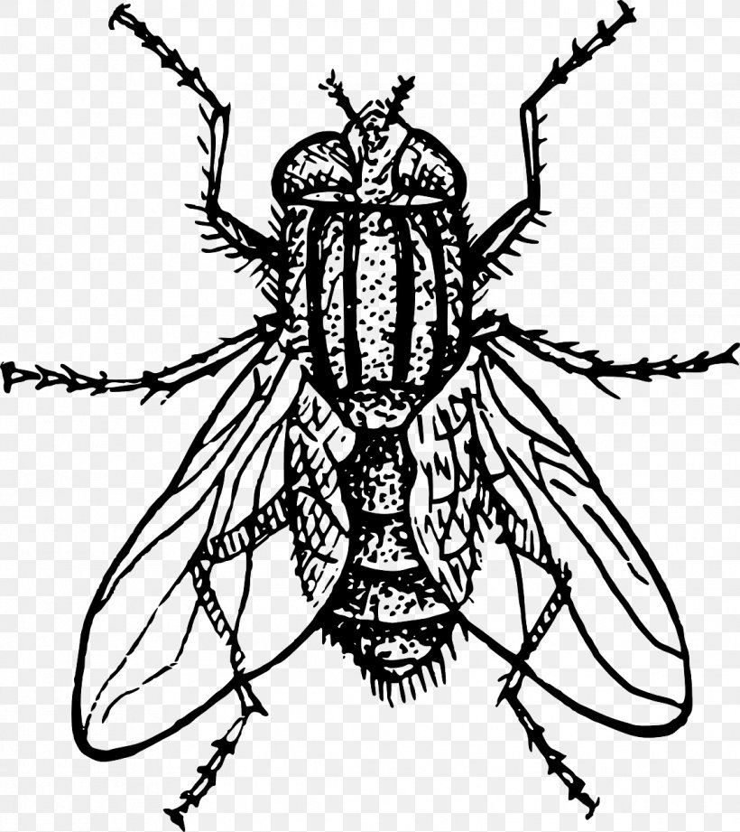 Housefly Drawing Clip Art, PNG, 1139x1280px, Housefly, Art, Arthropod, Artwork, Black And White Download Free