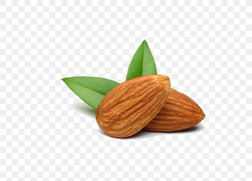 Nut Almond Food Apricot Kernel, PNG, 591x591px, Nut, Almond, Apricot Kernel, Baking, Candied Fruit Download Free