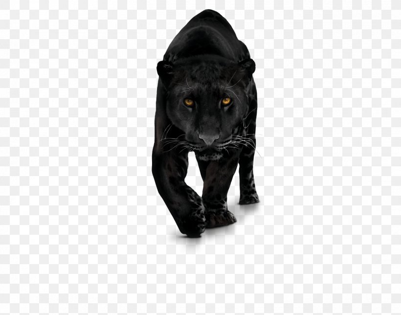 Black Panther Leopard Clip Art, PNG, 1400x1100px, Black Panther, Big Cat, Big Cats, Black, Black Cat Download Free
