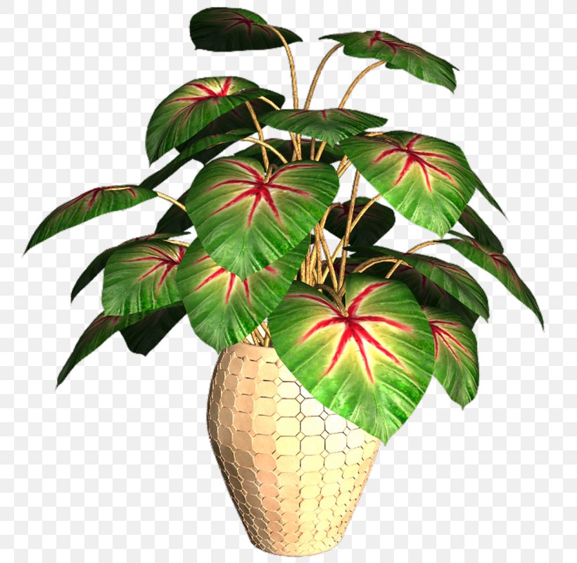 GIF Animaatio Flowerpot Image Sharing, PNG, 775x800px, Animaatio, Flower, Flowerpot, Houseplant, Image Sharing Download Free
