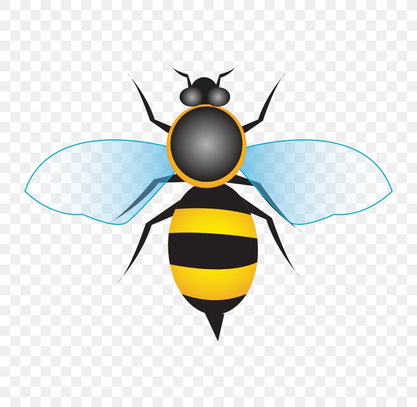 Honey Bee Honey Bee, PNG, 800x800px, Bee, Arthropod, Cartoon, Fly, Honey Download Free