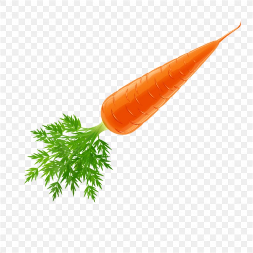 Juice Carrot Vegetable, PNG, 1773x1773px, Juice, Bean, Carrot, Food, Grass Download Free
