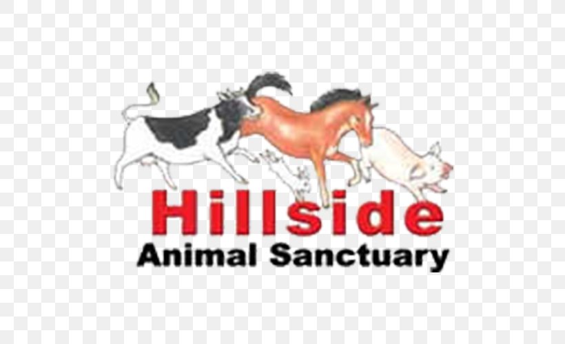 Norwich West Runton Frettenham Hillside Animal Sanctuary Horse, PNG, 500x500px, Norwich, Animal, Animal Aid, Animal Sanctuary, Animal Welfare Download Free