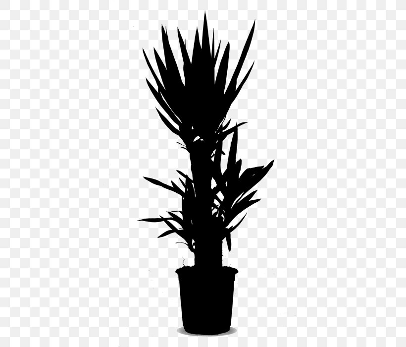 Palm Trees Flowerpot Houseplant Plant Stem, PNG, 500x700px, Palm Trees, Arecales, Blackandwhite, Botany, Flower Download Free