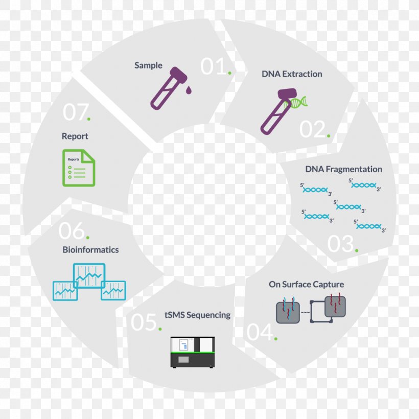 RNA-Seq Genomics Real-time Polymerase Chain Reaction DNA, PNG, 1080x1080px, Rna, Amplifikacija, Brand, Cell, Communication Download Free