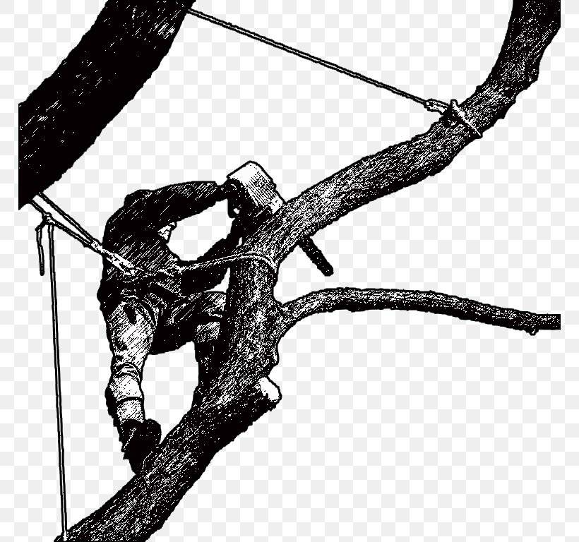 Tree Climbing Branch Arborist, PNG, 768x768px, Tree Climbing, Arborist, Bit, Black And White, Bowline Download Free