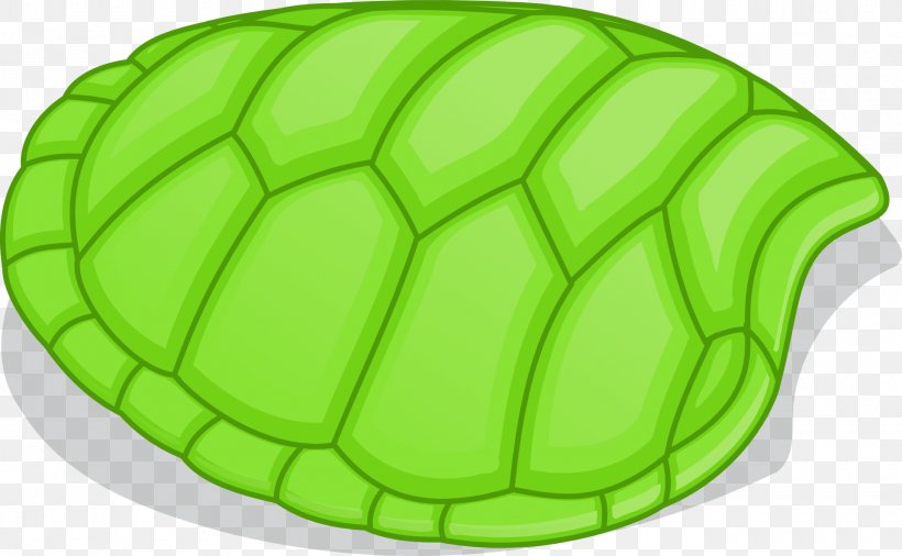 Turtle Shell Clip Art, PNG, 1920x1185px, Turtle, Animal, Ball, Football, Fruit Download Free