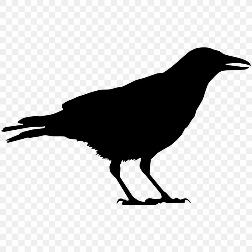 Birds Silhouette, PNG, 1024x1024px, American Crow, All About Birds, Beak, Bird, Chihuahuan Raven Download Free