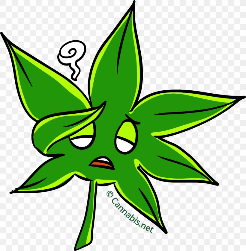 Cannabis Tea Cannabis Cup Marijuana Leaf, PNG, 1204x1233px, Cannabis Tea, Area, Artwork, Blunt, Cannabis Download Free