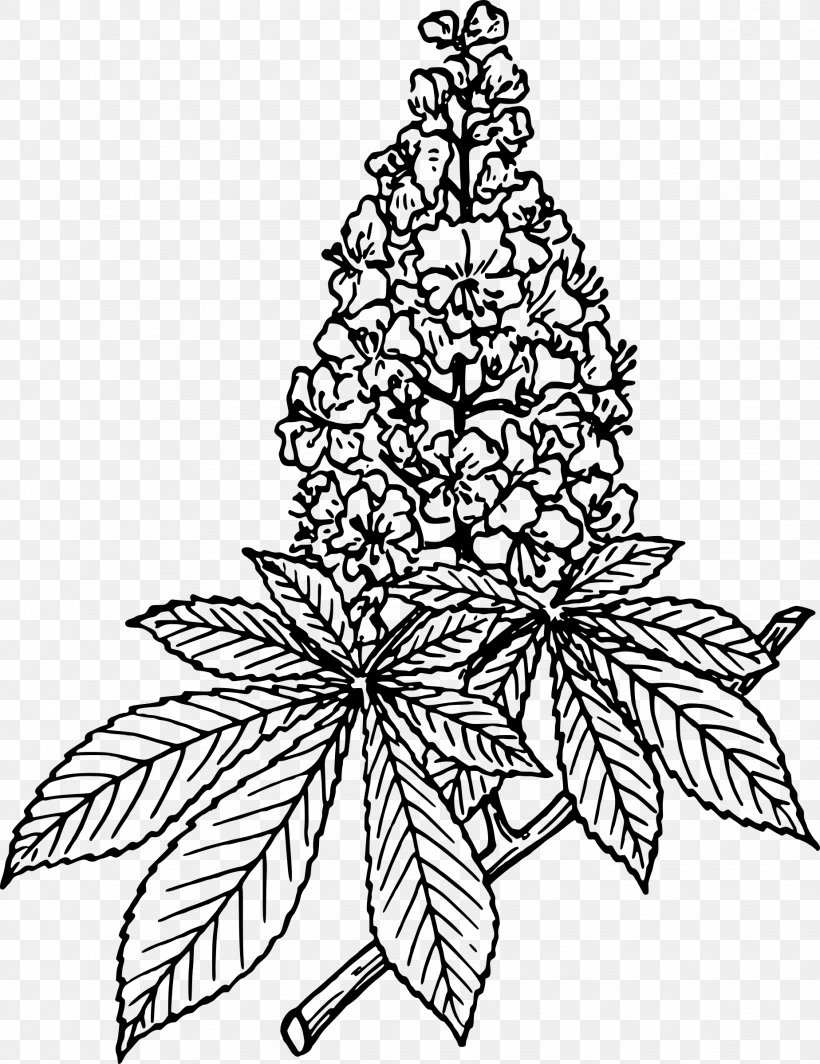 Common Lilac Flower Color Clip Art, PNG, 1848x2400px, Lilac, Black And White, Branch, Christmas Decoration, Christmas Tree Download Free