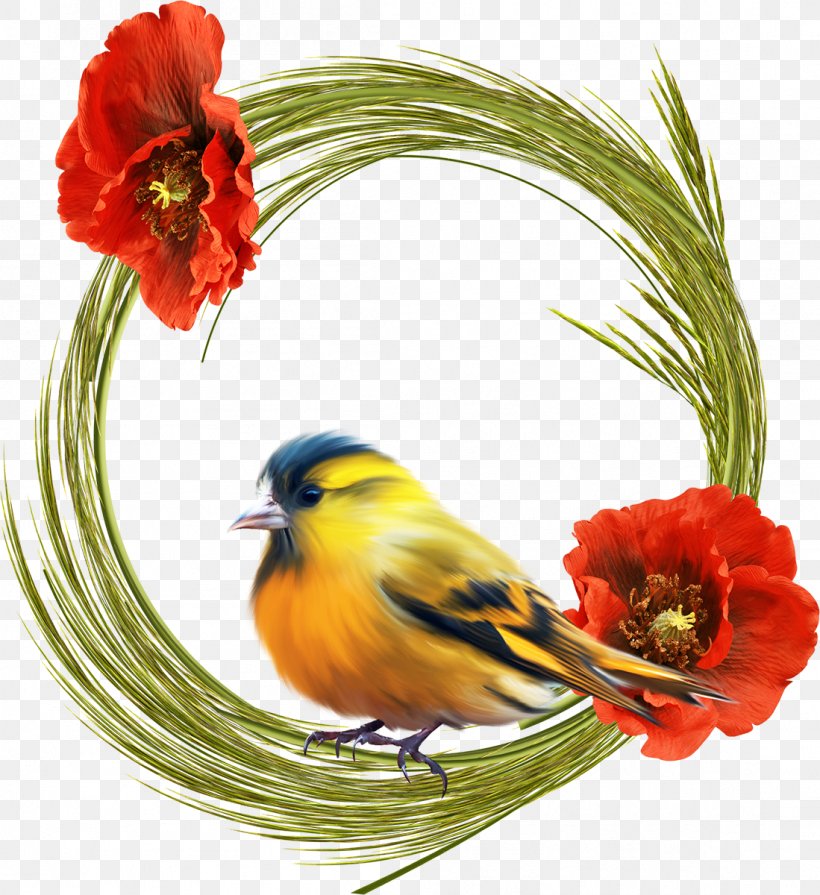 Photography Banco De Imagens Clip Art, PNG, 1099x1200px, Photography, Banco De Imagens, Beak, Bird, Flower Download Free