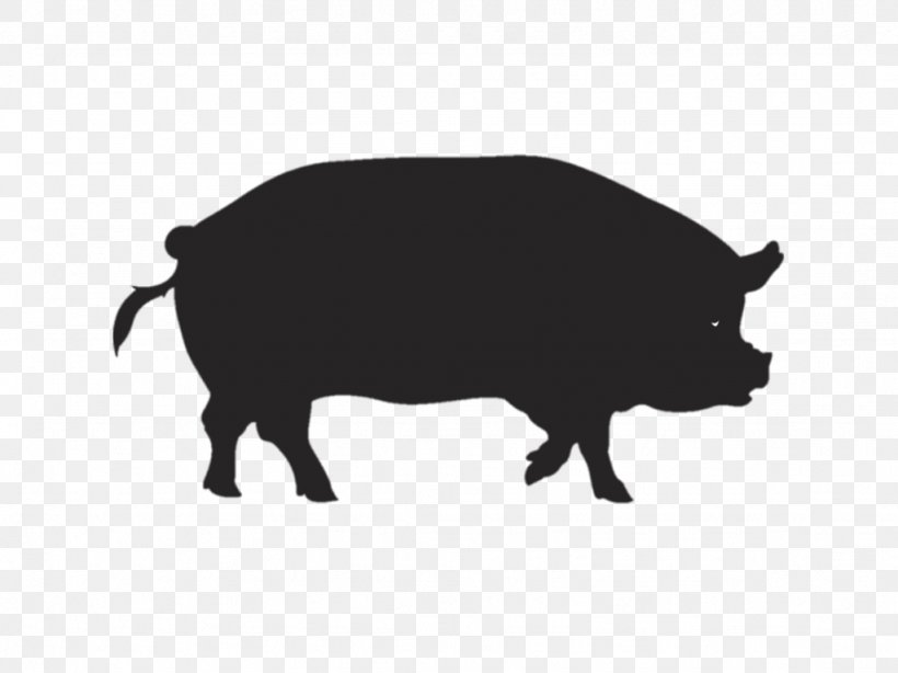 Pig Kunekune Spare Ribs Barbecue, PNG, 1024x767px, Pig, Barbecue, Black And White, Cattle Like Mammal, Cut Of Pork Download Free
