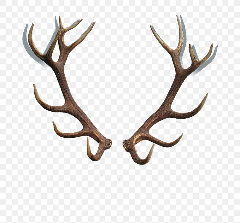 Red Deer Reindeer Antler Horn, PNG, 700x763px, Deer, Antler, Can Stock Photo, Drawing, Elk Download Free