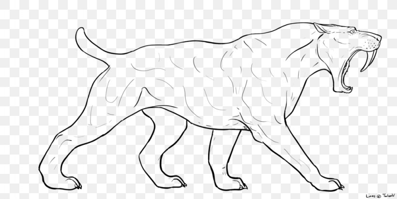 Saber-toothed Cat Art Felidae Drawing, PNG, 1024x515px, Sabertoothed Cat, Animal Figure, Art, Artwork, Black And White Download Free