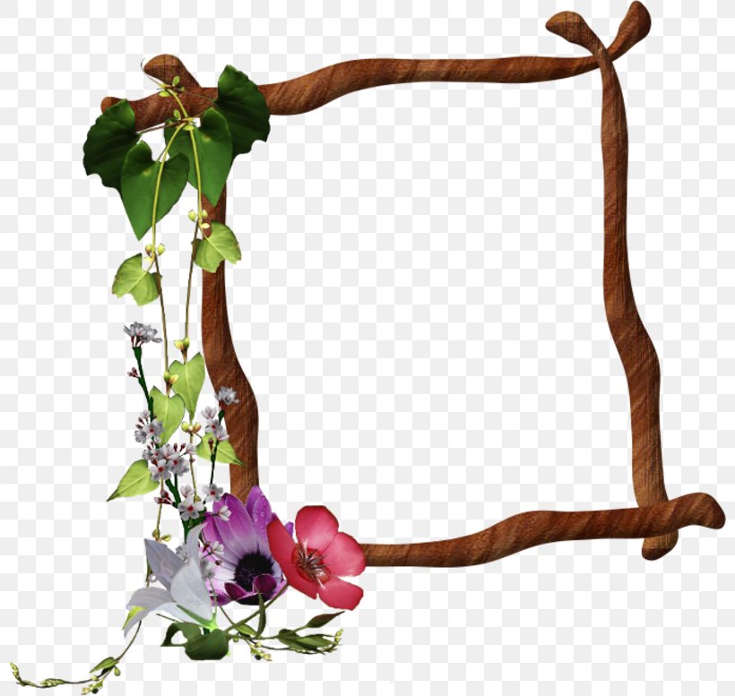 Ulead PhotoImpact Web Browser Picture Frames, PNG, 800x777px, Ulead Photoimpact, Branch, Cut Flowers, Floral Design, Flower Download Free
