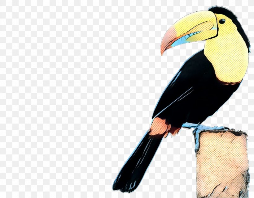 Bird Toucan Beak Hornbill Piciformes, PNG, 950x743px, Pop Art, Beak, Bird, Coraciiformes, Hornbill Download Free