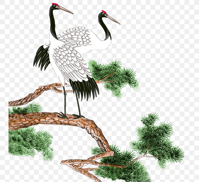 Chinese Calligraphy YouTube Cursive Clip Art, PNG, 750x750px, Calligraphy, Beak, Bird, Branch, Chinese Download Free