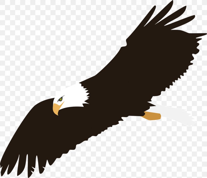Eagle Clip Art, PNG, 1280x1102px, Eagle, Accipitriformes, Bald Eagle, Beak, Bird Download Free