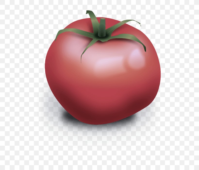 Tomato, PNG, 666x700px, Natural Foods, Food, Fruit, Local Food, Nightshade Family Download Free