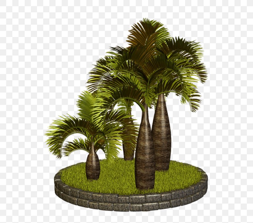 Clip Art Palm Trees GIF, PNG, 600x723px, Palm Trees, Arecales, Art, Blog, Date Palm Download Free