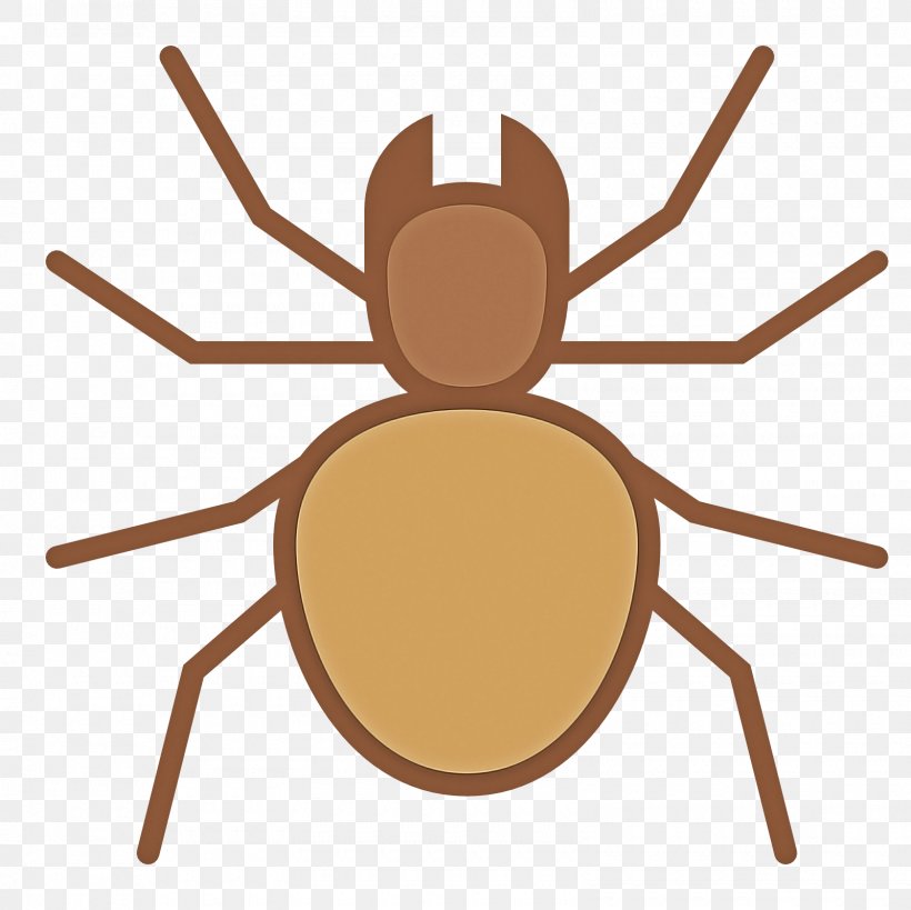 Insect Pest Spider Tarantula Arachnid, PNG, 1600x1600px, Insect, Arachnid, Parasite, Pest, Spider Download Free