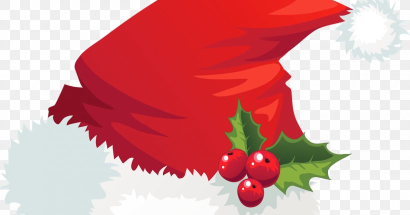 Santa Claus Christmas Santa Suit Hat Clip Art, PNG, 1200x630px, Santa Claus, Aquifoliaceae, Christmas, Christmas Elf, Christmas Ornament Download Free