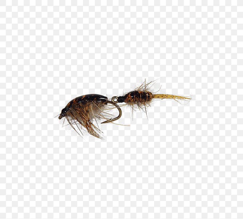 Artificial Fly Fly Fishing Insect Hare's Ear, PNG, 555x741px, Fly, Artificial Fly, Fishing, Fishing Bait, Fly Fishing Download Free