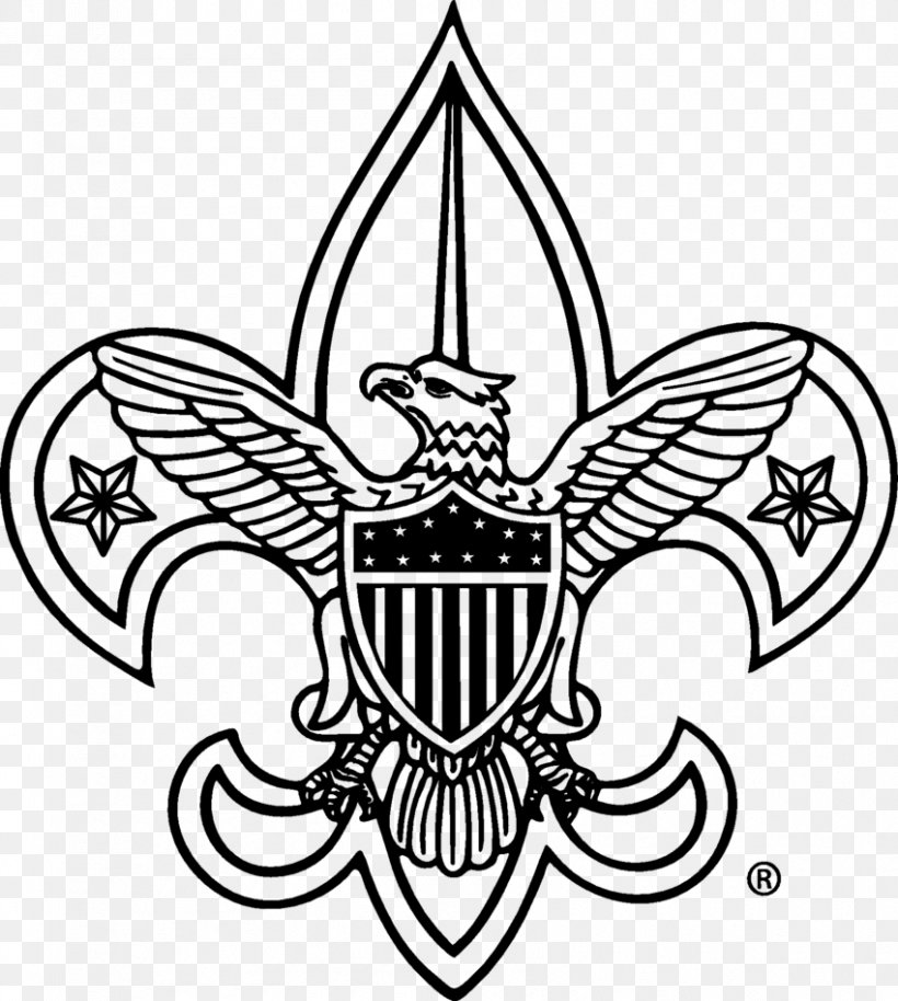 Boy Scouts Of America Cub Scouting Eagle Scout, PNG, 850x948px, Boy ...