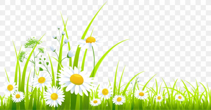 Clip Art, PNG, 1200x630px, Chamomile, Commodity, Computer, Daisy, Dandelion Download Free
