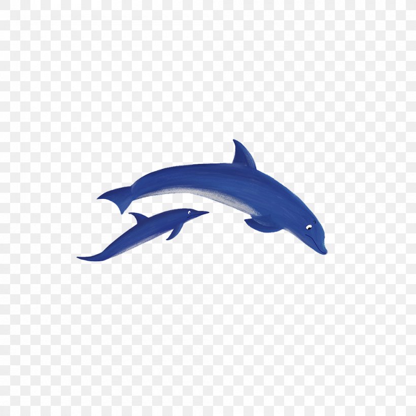 Common Bottlenose Dolphin Tucuxi Porpoise Blue, PNG, 1000x1000px, Common Bottlenose Dolphin, Blue, Cartoon, Designer, Dolphin Download Free