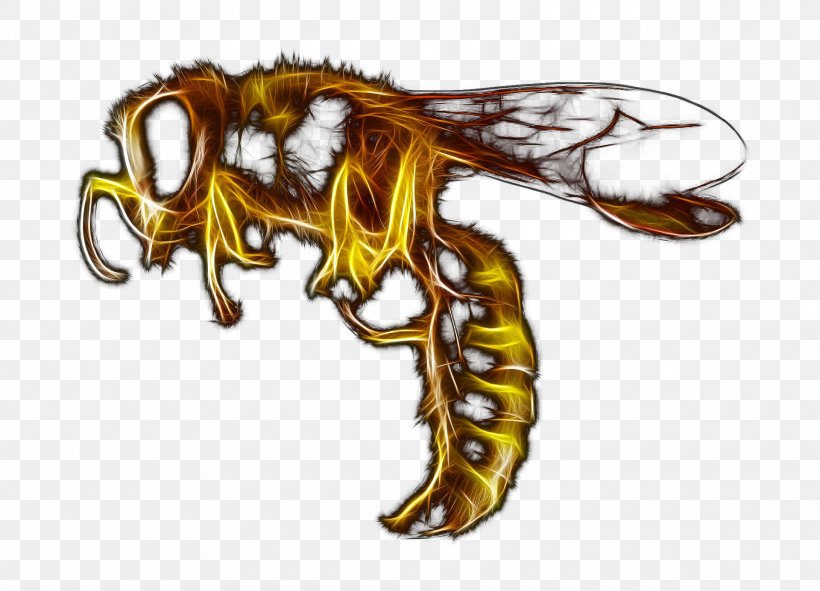 Honey Bee Pest Control Exterminator Bedbug, PNG, 1920x1386px, Honey Bee, Bedbug, Bee, Carnivoran, Dragon Download Free