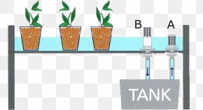 Hydroponics Ebb And Flow Aeroponics Flood Aquaponics PNG