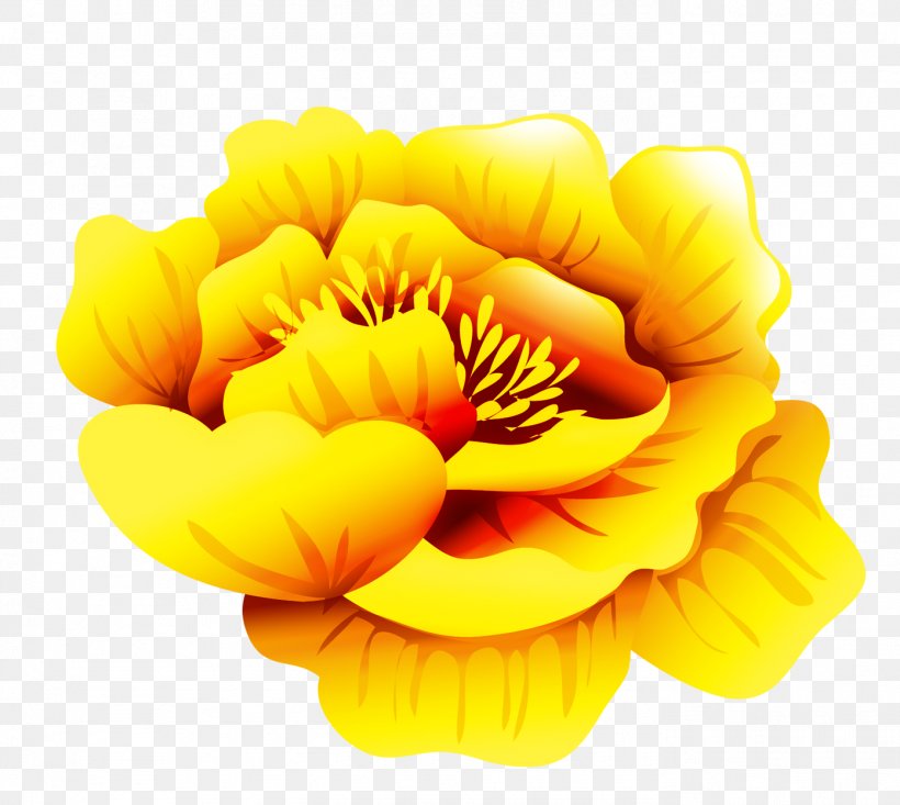 Icon, PNG, 1392x1246px, Computer Graphics, Flower, Flowering Plant, Gold, Orange Download Free