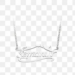 Necklace - Necklace Charms & Pendants Silver Chain Jaw PNG