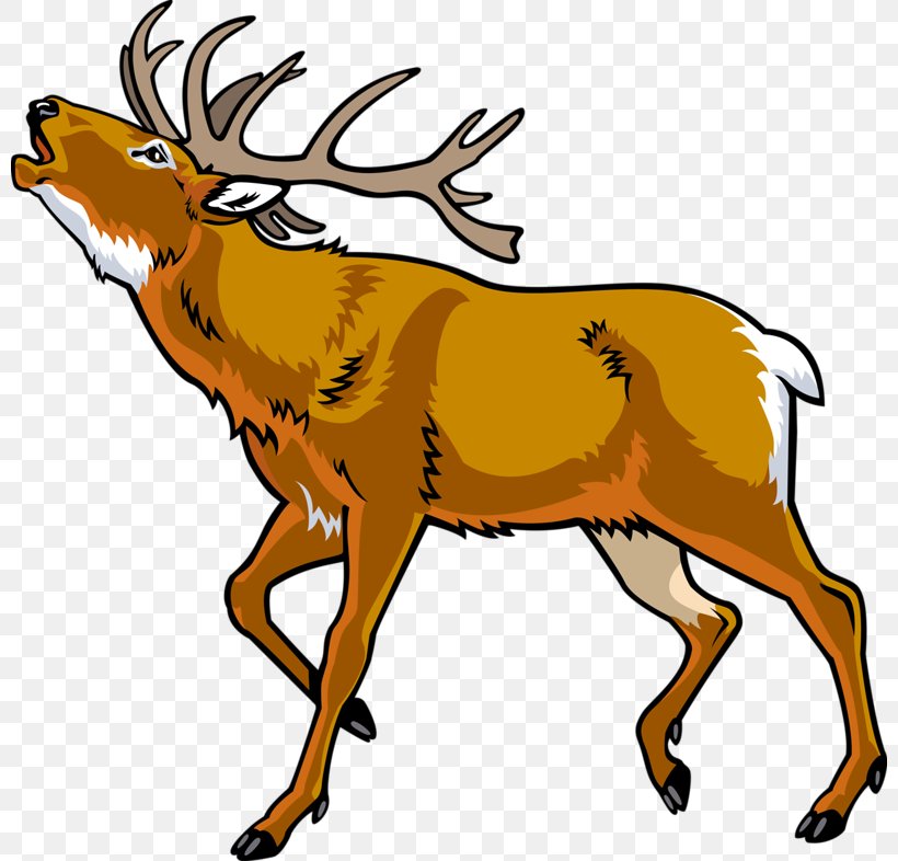 Elk Red Deer Clip Art, PNG, 800x786px, Elk, Animal Figure, Antler, Artwork, Cervus Download Free