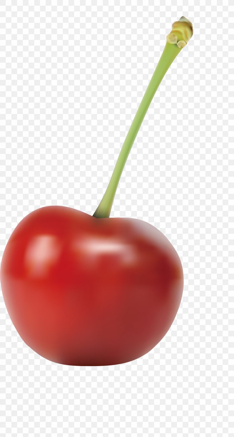 Smoothie Tomato Cherry Euclidean Vector, PNG, 1140x2132px, Smoothie, Auglis, Bell Peppers And Chili Peppers, Cherry, Diet Food Download Free