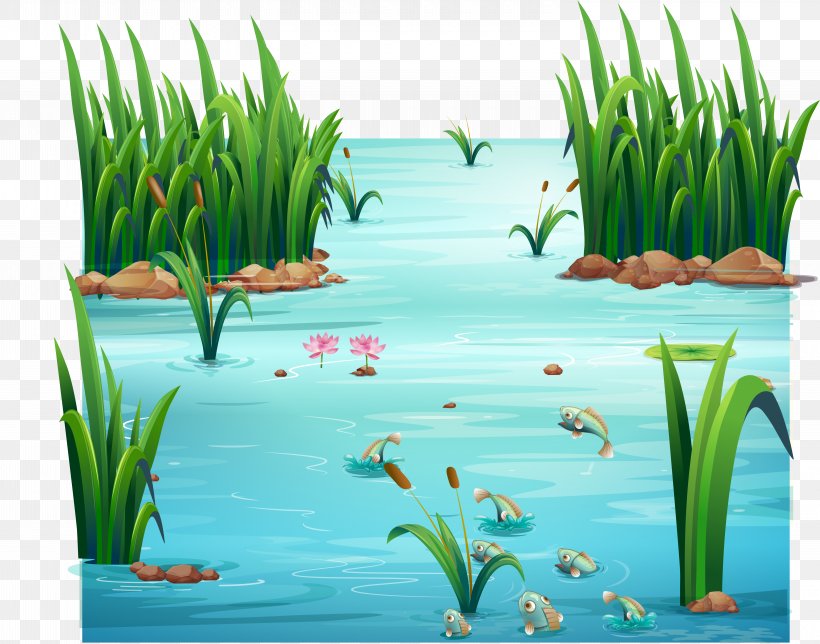 Vector Graphics Royalty-free Stock Illustration Pond, PNG, 6000x4719px, Royaltyfree, Aquarium Decor, Aquatic Plant, Ecosystem, Grass Download Free