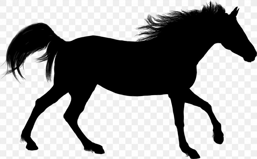 Arabian Horse American Paint Horse Silhouette Stallion Clip Art, PNG, 2292x1420px, Arabian Horse, American Paint Horse, Animal, Black And White, Bridle Download Free