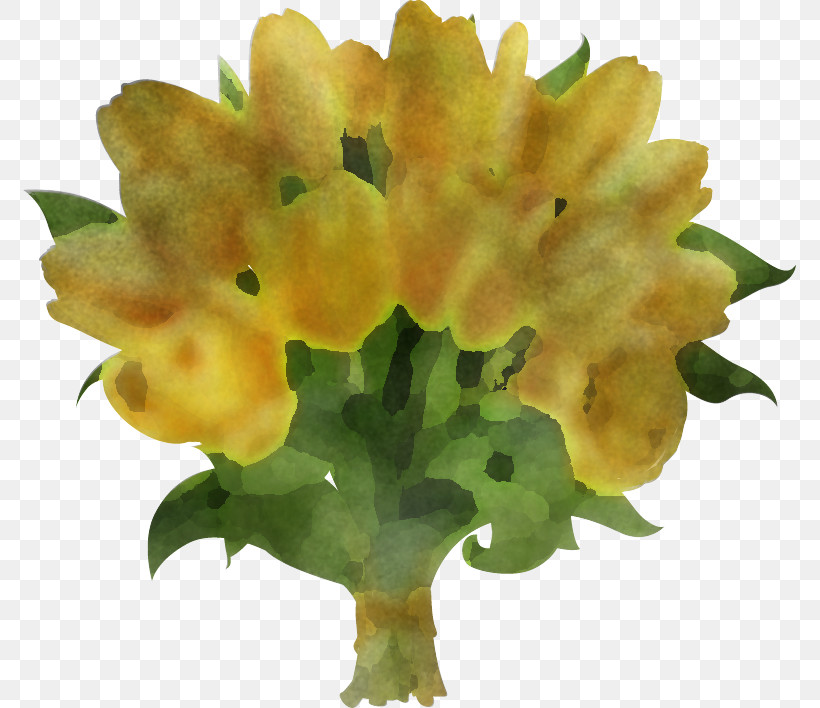 Flower Yellow Plant Petal Lantana, PNG, 773x708px, Flower, Lantana, Petal, Plant, Yellow Download Free