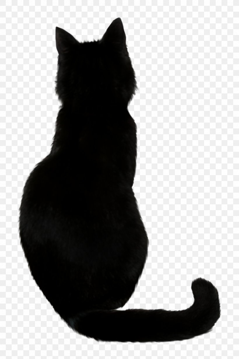 Black Cat Kitten Drawing, PNG, 900x1350px, Cat, Black, Black And White, Black Cat, Bombay Download Free
