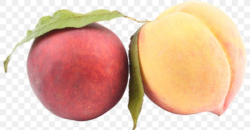 Saturn Peach Clip Art, PNG, 800x429px, Saturn Peach, Apple, Apricot, Diet Food, Food Download Free