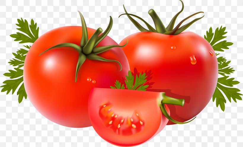 Tomato Vegetable Bell Pepper Food, PNG, 1500x909px, Tomato, Beefsteak Tomato, Bell Pepper, Bush Tomato, Capsicum Download Free