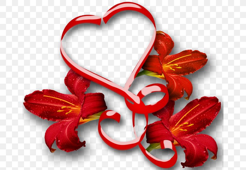 Valentine's Day Love Vinegar Valentines 14 February Holiday, PNG, 670x569px, Love, Ansichtkaart, Birthday, Daytime, Dia Dos Namorados Download Free