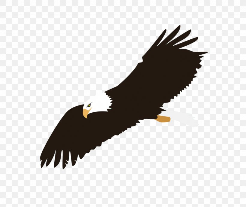 Bald Eagle Clip Art Vector Graphics, PNG, 1024x861px, Bald Eagle, Accipitridae, Accipitriformes, Beak, Bird Download Free
