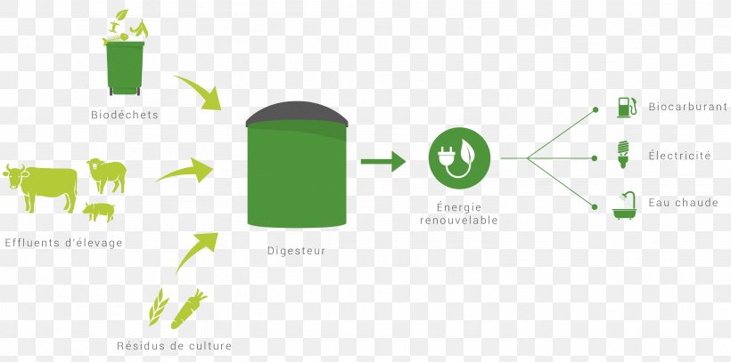 Biogas Anaerobic Digestion Renewable Energy Energy Crop, PNG, 2938x1460px, Biogas, Anaerobic Digestion, Area, Biofuel, Brand Download Free