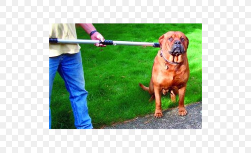 Dog Breed Tosa Boerboel Bullmastiff Dogue De Bordeaux, PNG, 500x500px, Dog Breed, Animal, Animal Rescue Group, Boerboel, Breedspecific Legislation Download Free