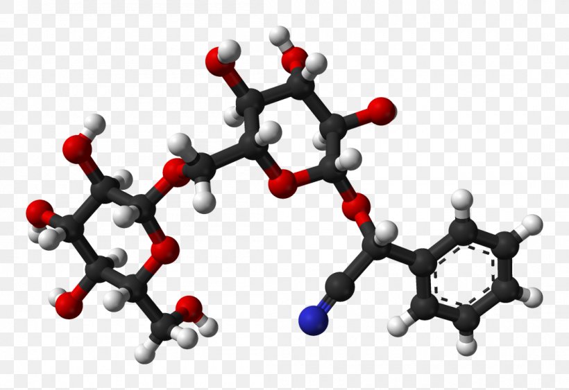 Amygdalin Cyanogeen Glycoside Mandelonitrile Cyanogen, PNG, 1100x756px, Amygdalin, Almond, Body Jewelry, Cyanogeen Glycoside, Cyanogen Download Free